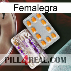 Femalegra new12